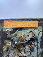Load image into Gallery viewer, May Wilson/Ray Johnson