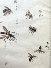Load image into Gallery viewer, Japanese Drawing/Watercolor
