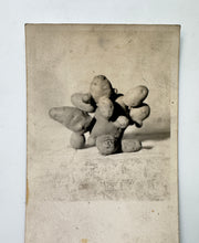 Load image into Gallery viewer, Potato RPPC
