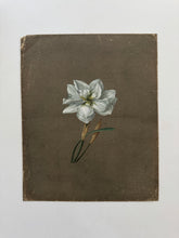 Load image into Gallery viewer, 19th century floral paintings
