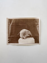 Load image into Gallery viewer, Root Vegetable Creature
