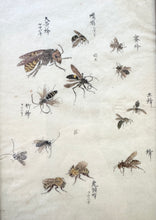 Load image into Gallery viewer, Japanese Drawing/Watercolor
