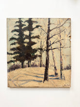 Load image into Gallery viewer, Winterscape
