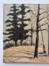 Load image into Gallery viewer, Winterscape
