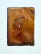 Load image into Gallery viewer, Large Horse Tintype
