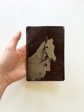 Load image into Gallery viewer, Large Horse Tintype
