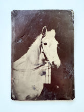 Load image into Gallery viewer, Large Horse Tintype
