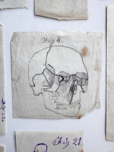 Load image into Gallery viewer, Naive anatomy drawings
