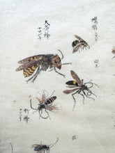Load image into Gallery viewer, Japanese Drawing/Watercolor
