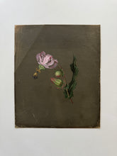 Load image into Gallery viewer, 19th century floral paintings
