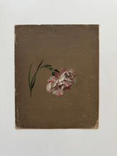Load image into Gallery viewer, 19th century floral paintings
