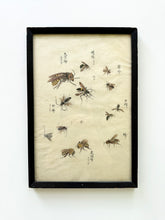 Load image into Gallery viewer, Japanese Drawing/Watercolor

