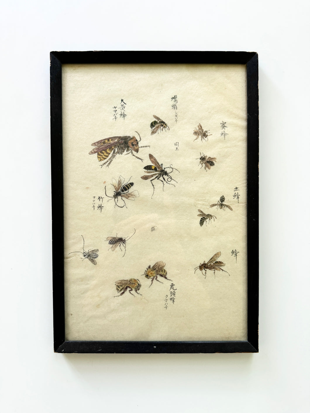 Japanese Drawing/Watercolor