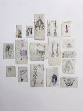 Load image into Gallery viewer, Naive anatomy drawings
