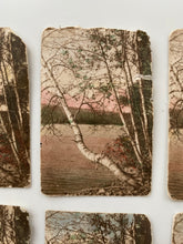 Load image into Gallery viewer, 17 hand colored photos
