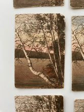 Load image into Gallery viewer, 17 hand colored photos
